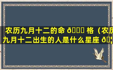农历九月十二的命 🕊 格（农历九月十二出生的人是什么星座 🦁 ）